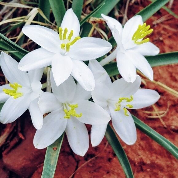 Send me a reasonable offer! Let's do this! (unless it's a handmade item😉)😊📦 - Picture 7 of 10